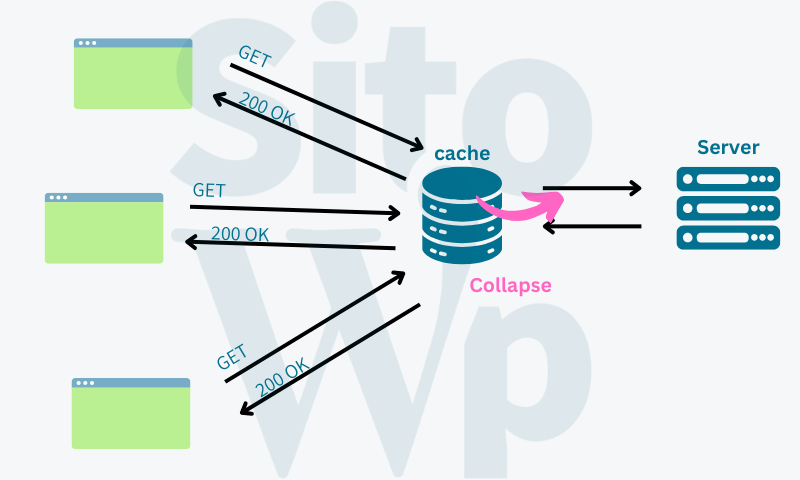 collapse cache